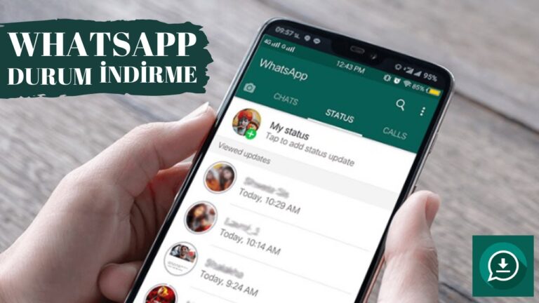 whatsapp status